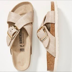 Birkenstock Siena Big Buckle